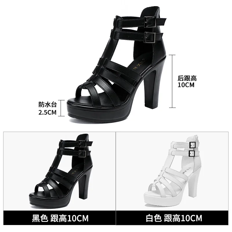 รองเท้ากลาดิเอเตอร์สตรีรองเท้า - Women'S Shoes Quality บทวิจารณ์และราคา